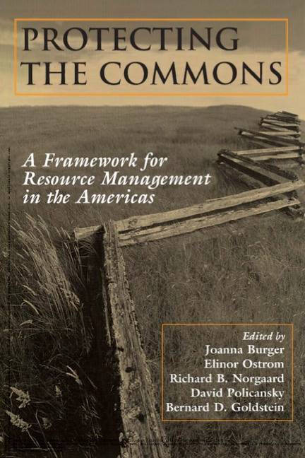 Cover of the book Protecting the Commons